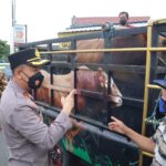 Sapi Suspect PMK Marak di Blitar, Polres Perketat Penyekatan di Perbatasan
