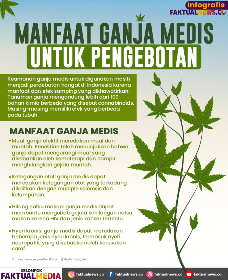 Berikut Manfaat Ganja Medis Untuk Pengobatan - FaktualNews.co