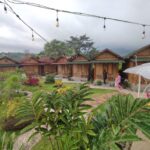 Rumah Bambu Trawas Mojokerto, Tawarkan Menginap dengan Suasana Asri Pedesaan