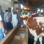 Pemkab Pasuruan Distribusikan Vaksin, Vitamin dan Obat untuk Koperasi Susu