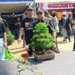 Wali Kota Blitar Inginkan Kontes Bonsai Digelar Secara Rutin