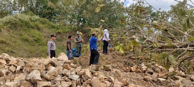 Tambang Batu di Tulungagung Longsor, Satu Pekerja Tewas Tertimpa Pohon Jati