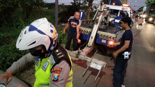 Adu Banteng di Sidoarjo, Pengendara Motor Asal Surabaya Tewas di Lokasi