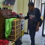 Ditetapkan Tersangka, Koordinator Judi Balap Merpati di Situbondo Terancam 10 Tahun 