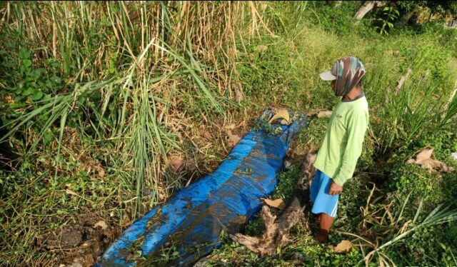 Mayat Berbaju Koko Ditemukan Warga di Jombang, Sumbat Saluran Irigasi Sawah