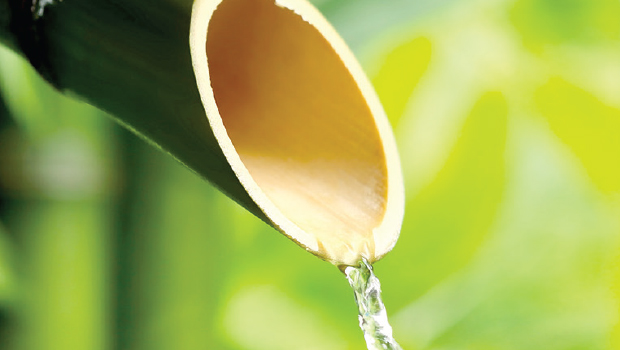 Manfaat Air Bambu untuk Kesehatan Tubuh