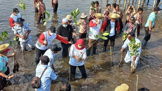 Di Pasuruan, Gubernur Khofifah Ajak Warga Jatim Bersedekah Oksigen dengan Tanam Mangrove