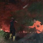 Gegara Puntung Rokok, Lahan Kosong 2 Hektare Dekat Permukiman di Situbondo Terbakar