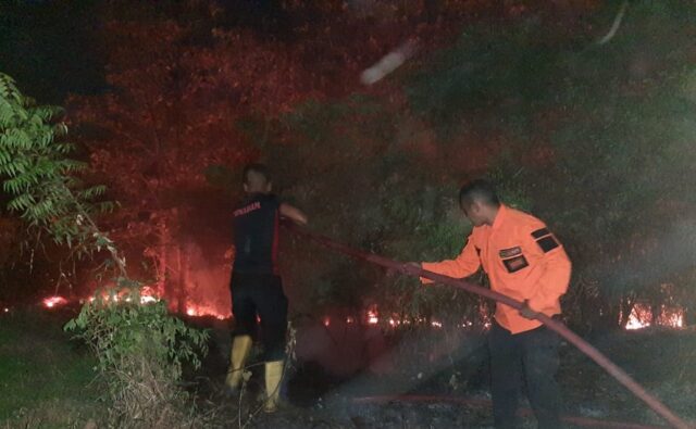 Gegara Puntung Rokok, Lahan Kosong 2 Hektare Dekat Permukiman di Situbondo Terbakar