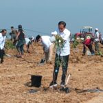 Kunker di Gresik, Presiden Jokowi Luncurkan Food Estate dan Taksi Alsintan