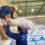 Pupuk Indonesia Siap Penuhi Kebutuhan Pupuk Bersubsidi di Bondowoso