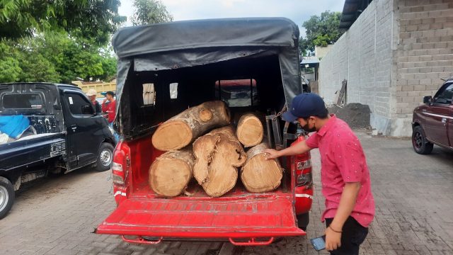 Petugas Taman Nasional Baluran Situbondo Gagalkan Pencurian Jati Gelondongan