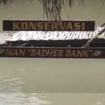 Wisata Konservasi Badher Bank Blitar, Suguhkan Keindahan Alam dan Ikan Jinak