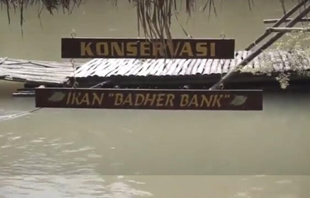 Wisata Konservasi Badher Bank Blitar, Suguhkan Keindahan Alam dan Ikan Jinak