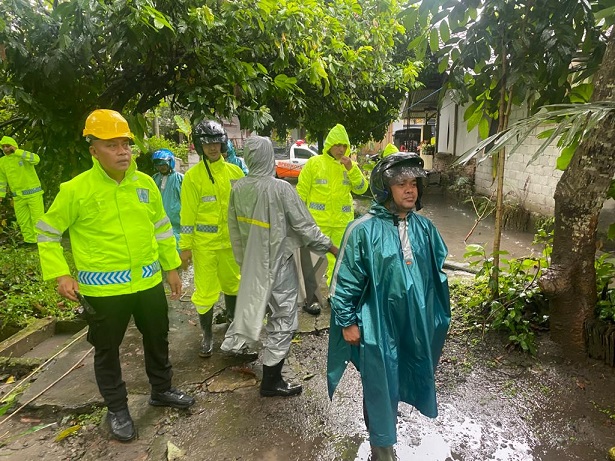 Hujan Deras di Kota Blitar Juga Sebabkan Pohon Tumbang