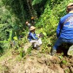 Ratusan Relawan Kediri, Tanam Pohon di Lereng Gunung Kelud