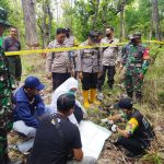 Heboh, Ditemukan Tengkorak Manusia di Kawasan Hutan Taman Nasional Baluran Situbondo