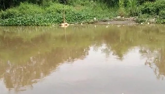 Cari Barang Bekas di Tepi Sungai Brantas Sidoarjo Temukan Mayat Misterius Telanjang