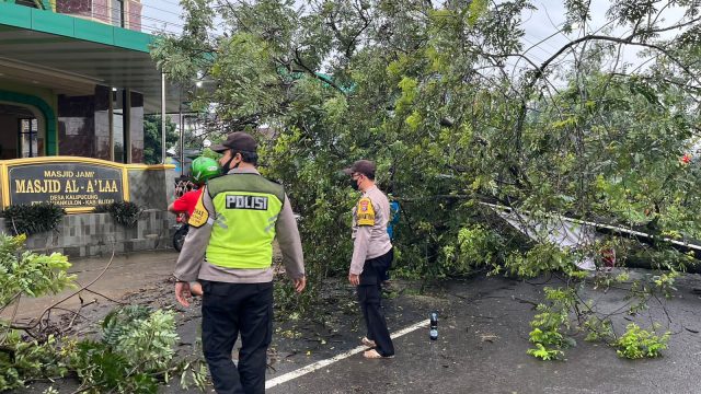 Pohon Tumbang, Akses Jalan Blitar-Kediri Tutup