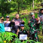 Puluhan Relawan Kediri Tanam Ratusan Pohon di Lereng Gunung Wilis