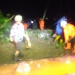 Hujan Deras di Jalur Gumitir Jember, Pemotor Warga Banyuwangi Tertimpa Pohon Tumbang
