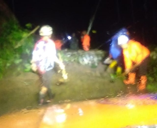 Hujan Deras di Jalur Gumitir Jember, Pemotor Warga Banyuwangi Tertimpa Pohon Tumbang