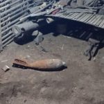Pencarai Rumput di Mojokerto Temukan Mortir Aktif di Tambang Galian