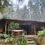 Ingin Ngopi di Tengah Hutan Belantara di Mojokerto, Ini Lokasinya