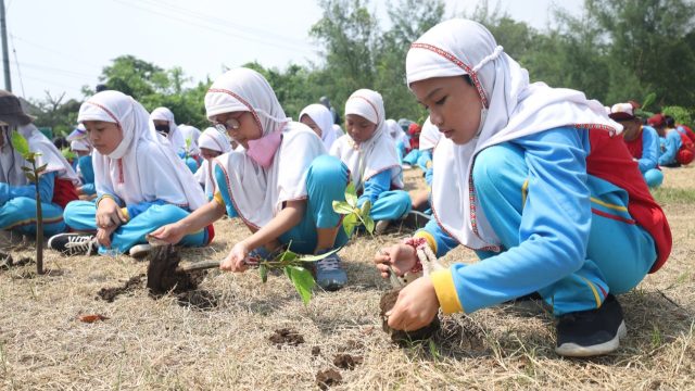 Jaga Kelestarian Alam, Pelajar di Sidoarjo Beramai-ramai Tanam Mangrove