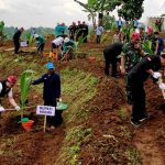 Mentan dan Bupati Kediri Tanam Kelapa Genjah Integrasi Jagung dan Ternak Kambing