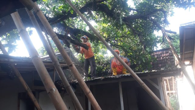 Diterjang Angin Kencang, Puluhan Rumah di Situbondo Rusak