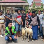 Spesialis Pencurian Kambing di Situbondo Berhasil Diringkus, Satu Pelaku DPO