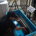 Pertama di Indonesia, Bupati Kediri Buat Kontes Gede-gedean Ikan Lele