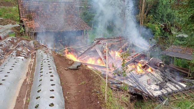 Lupa Matikan Kompor, Rumah Warga di Situbondo Terbakar 