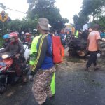 Pohon Tumbang, Jalur Situbondo-Bondowoso Macet Total Selama Dua Jam 