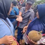 Nama Durian Bido Khas Wonosalam Jombang Ada Kaitannya dengan Elang Jawa