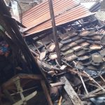 Diterjang Angin Kencang, Rumah Seorang Nenek di Situbondo Ambruk