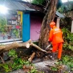 Hujan Deras Disertai Angin di Kota Kediri, Akibatkan Banjir dan Pohon Tumbang