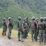 Makna Operasi Siaga Tempur TNI di Papua, Ini Penjelasan Pakar