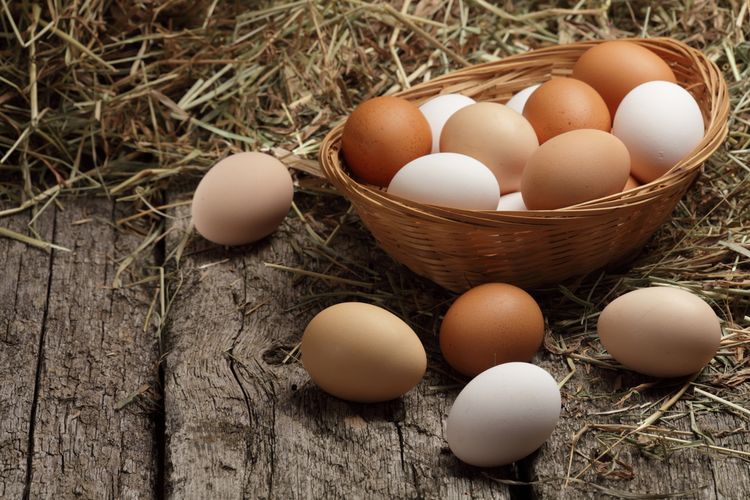 Manfaat Telur Ayam Kampung yang Kaya Nutrisi