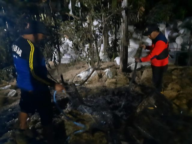 Dua Kandang Ayam Petelur Terbakar, 200 Ekor Ayam Ikut Terpanggang 