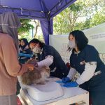 Cegah Rabies, Disnakkan Situbondo Vaksin Ratusan Ekor Hewan Peliharaan 