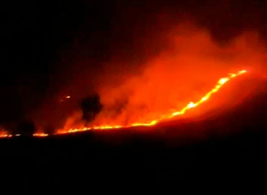 Kawasan Obyek Wisata Kawah Wurung Bondowoso Terbakar 