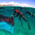 Puluhan Penyelam Free Diving Situbondo Kibarkan Merah Putih Dalam Laut 