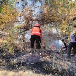 Petugas Gabungan Polres Kediri Kota Padamkan Karhutla di Lereng Gunung Klotok