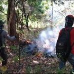 Wisata Taman Nasional Baluran Situbondo Ditutup Sementara, Imbas Kebakaran Hutan