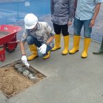 Wabub Blitar Letakkan Batu Pertama Pengelola Limbah Kotoran Sapi Ternak Jadi Biogas