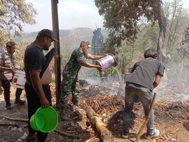 Gudang Penyimpanan Puluhan Ton Kapuk di Situbondo Terbakar