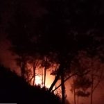 10 Hektar Kawasan Hutan RPH Sumbermalang Situbondo Terbakar 