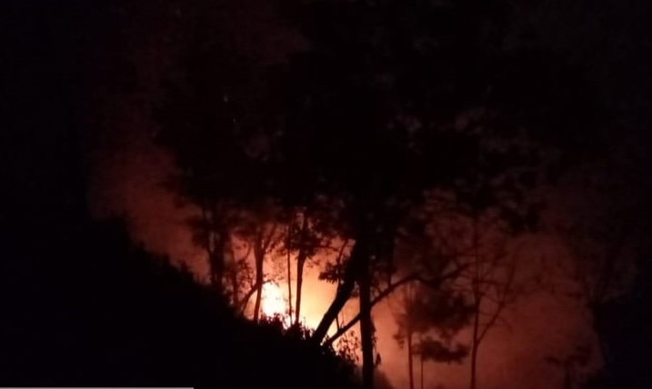 10 Hektar Kawasan Hutan RPH Sumbermalang Situbondo Terbakar 